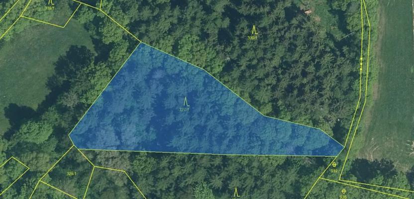 Prodej lesa, Přeštěnice, 4298 m2