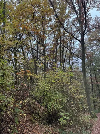 Prodej pozemku, Praha, 14747 m2