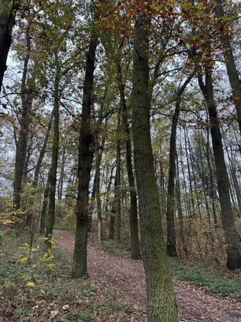 Prodej pozemku, Praha, 14747 m2