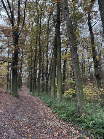 Prodej pozemku, Praha, 14747 m2