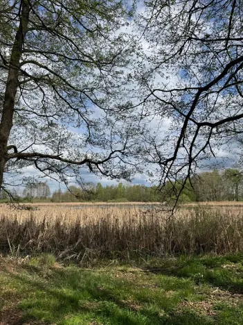 Prodej podílu pozemku, Stříbřec, 5449 m2