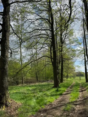 Prodej podílu pozemku, Stříbřec, 5449 m2