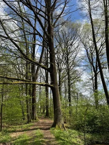 Prodej podílu pozemku, Stříbřec, 5449 m2