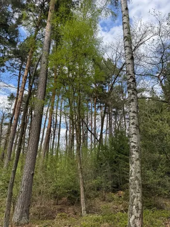 Prodej podílu pozemku, Stříbřec, 5449 m2