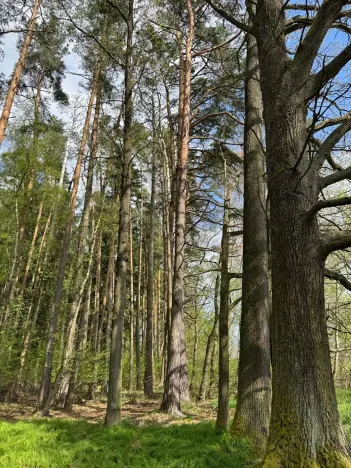 Prodej podílu pozemku, Stříbřec, 5449 m2