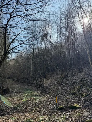 Prodej pozemku, Louňovice pod Blaníkem, 23891 m2