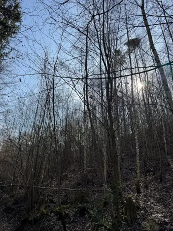 Prodej pozemku, Louňovice pod Blaníkem, 23891 m2