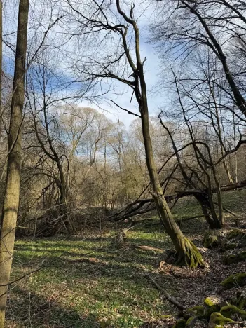 Prodej pozemku, Louňovice pod Blaníkem, 23891 m2