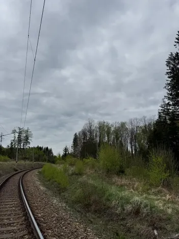 Prodej lesa, Bednáreček, 19864 m2