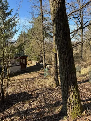 Prodej lesa, Mrákotín, 2434 m2