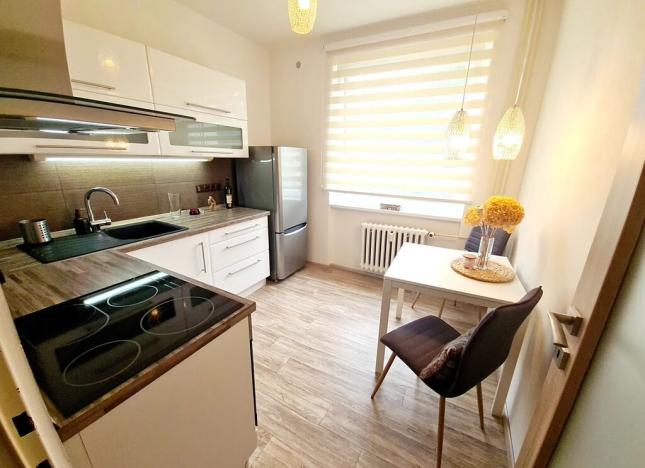 Pronájem bytu 1+1, Praha - Čimice, Minická, 40 m2