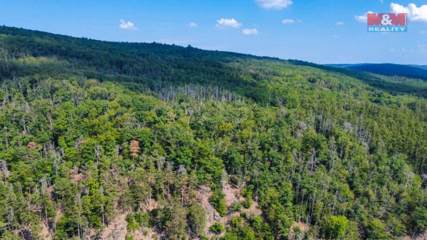 Prodej pozemku pro bydlení, Nižbor - Žloukovice, 2251 m2