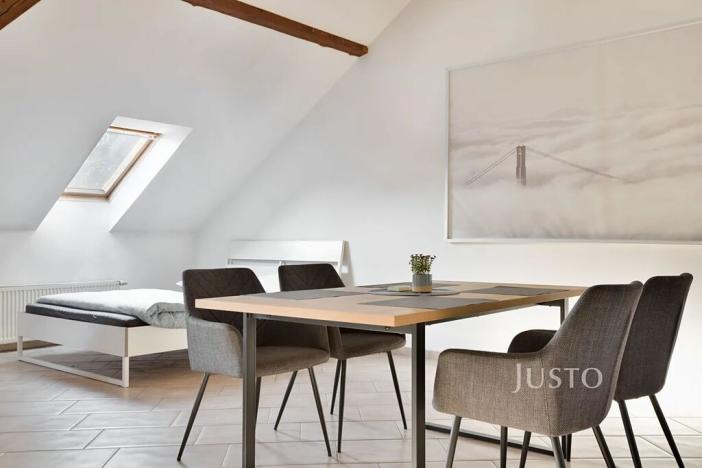 Prodej činžovního domu, Ústí nad Labem, Králova výšina, 300 m2