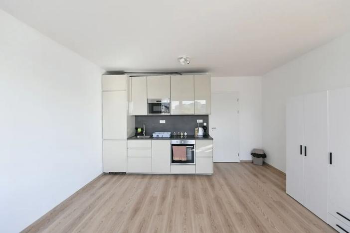 Prodej bytu 2+kk, Praha - Holešovice, U Pergamenky, 59 m2