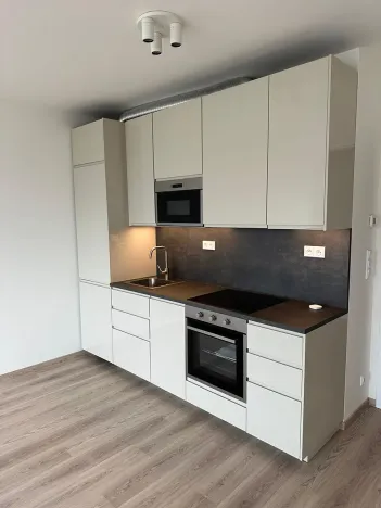 Prodej bytu 2+kk, Praha - Holešovice, U Pergamenky, 59 m2
