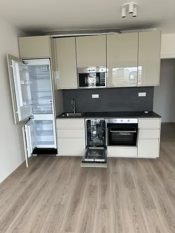 Prodej bytu 2+kk, Praha - Holešovice, U Pergamenky, 59 m2