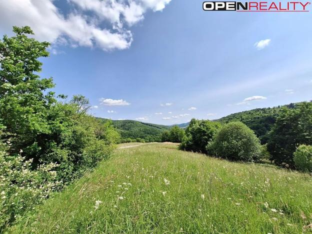 Prodej pole, Žítková, 1968 m2