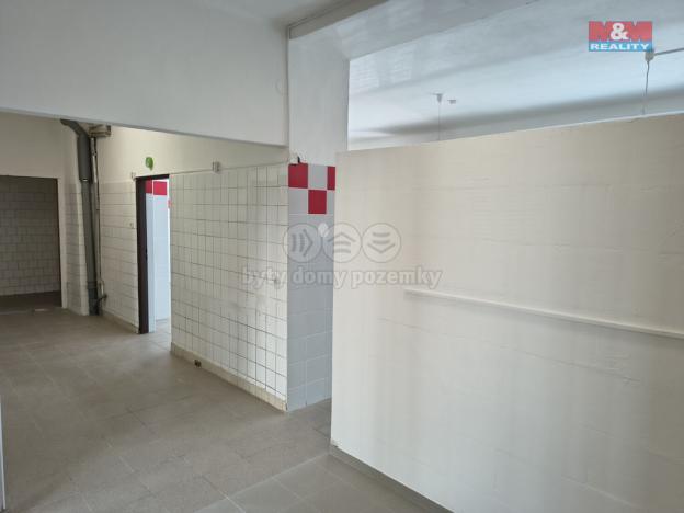 Pronájem obchodního prostoru, Vlašim, Jana Masaryka, 100 m2