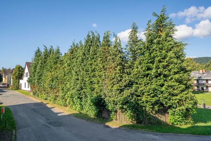 Prodej rodinného domu, Žacléř, K. H. Borovského, 142 m2