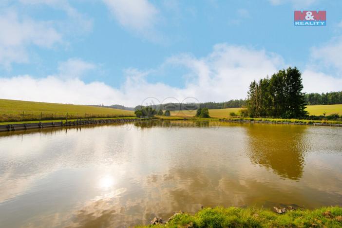 Prodej rybníku, Olbramov - Zádub, 6672 m2