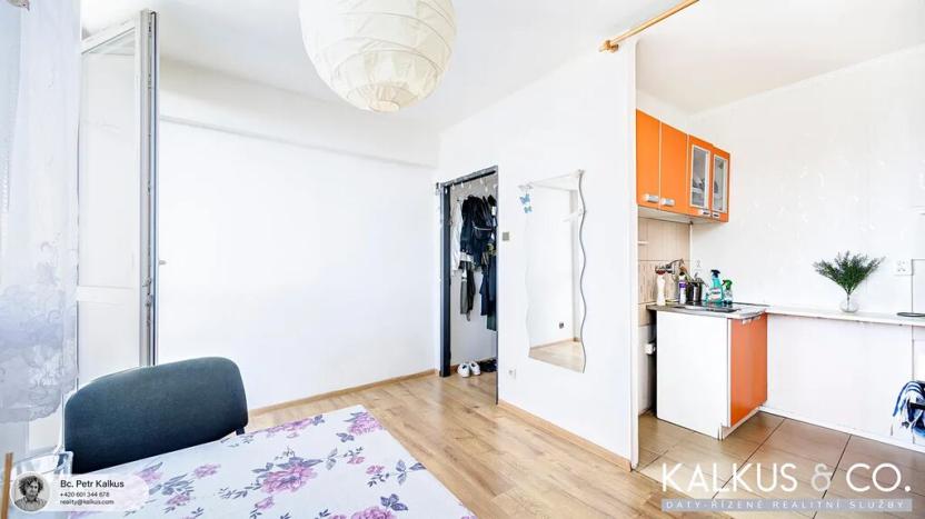 Prodej bytu 2+kk, Mladá Boleslav, Jičínská, 39 m2
