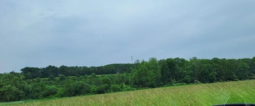 Prodej zahrady, Bechlín, 620 m2