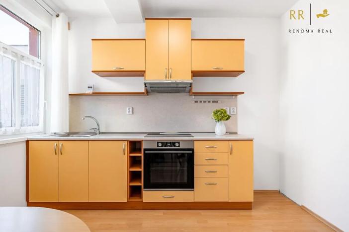 Pronájem bytu 1+1, Brno, Slovákova, 45 m2