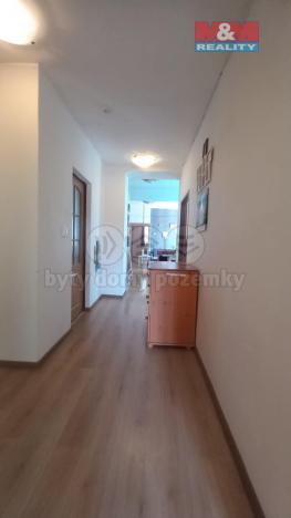 Prodej rodinného domu, Blížkovice, 617 m2