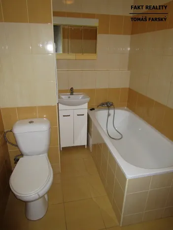 Pronájem bytu 1+kk, Děčín, Želenická, 21 m2