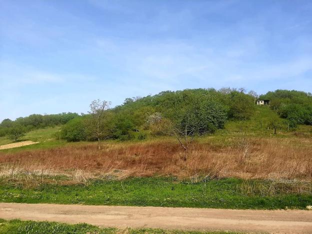 Prodej pozemku pro bydlení, Nenkovice, 811 m2