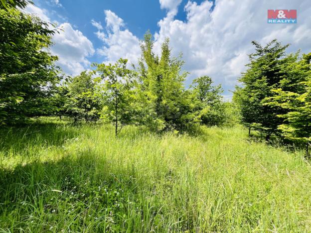 Prodej pozemku, Veselí nad Moravou, 1026 m2