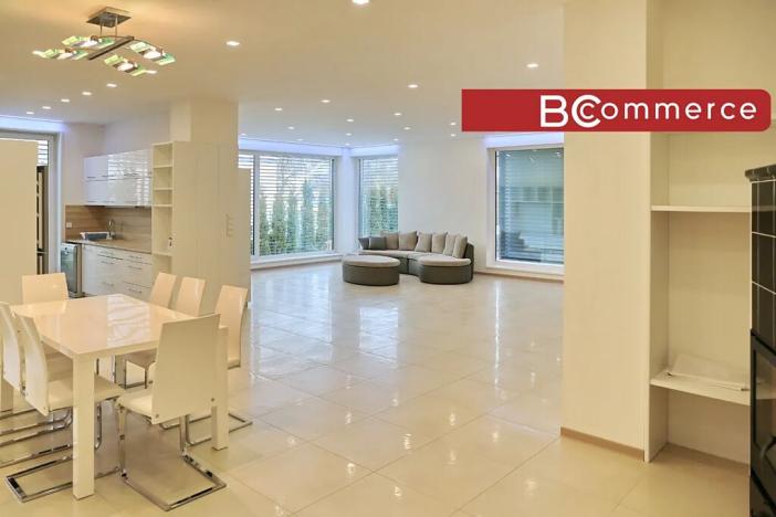 Pronájem rodinného domu, Brno, Pod Borovníkem, 330 m2