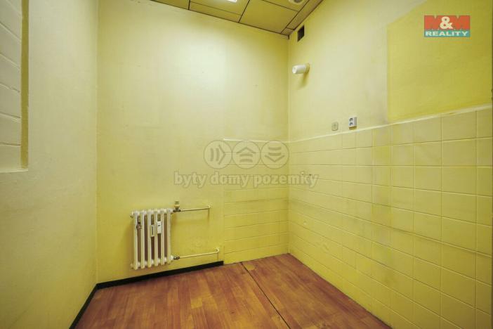 Pronájem obchodního prostoru, Třemošná, Plzeňská, 133 m2