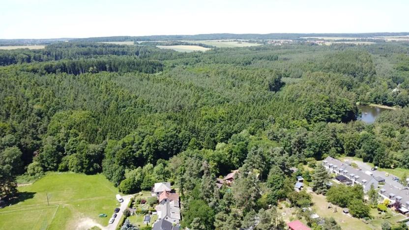 Prodej rodinného domu, Kozojedy, Polní, 101 m2