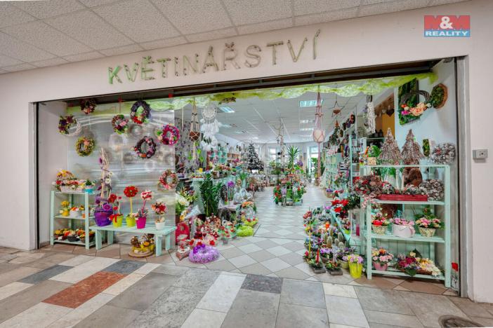 Pronájem obchodního prostoru, Třemošná, Plzeňská, 133 m2