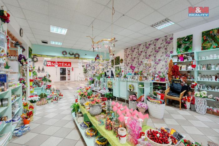 Pronájem obchodního prostoru, Třemošná, Plzeňská, 133 m2