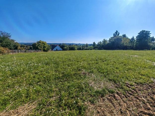 Prodej pozemku pro bydlení, Markvartice, 5151 m2