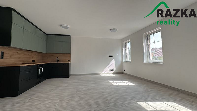Pronájem bytu 1+kk, Planá, 55 m2