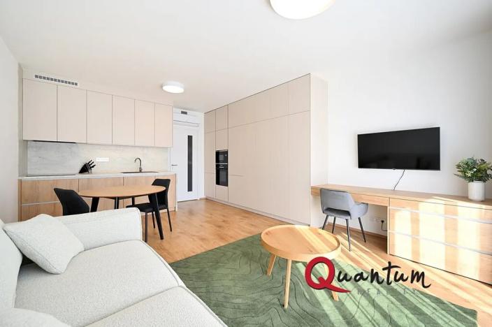 Pronájem bytu 1+kk, Praha - Žižkov, Malešická, 35 m2