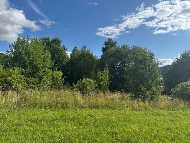 Prodej pozemku pro bydlení, Loučná nad Desnou, 1123 m2