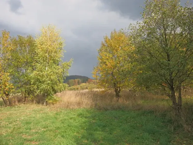 Prodej pozemku pro bydlení, Loučná nad Desnou, 1123 m2