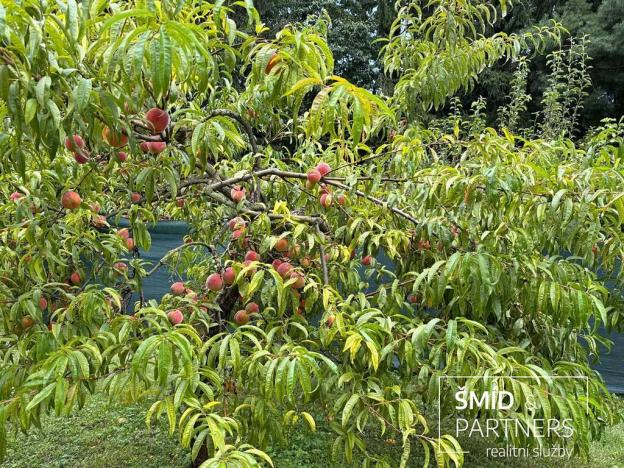 Prodej zahrady, Kolín, A. M. Jelínka, 628 m2