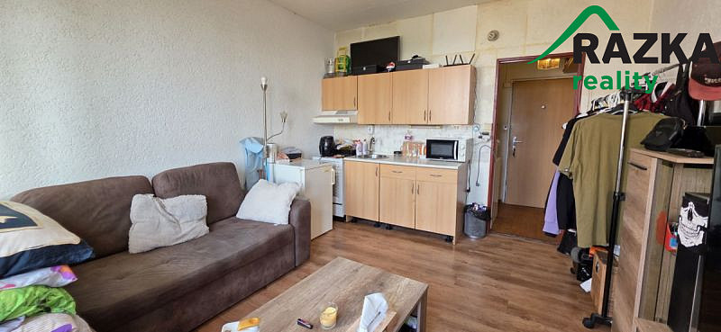 Prodej bytu 1+kk, Tachov, Bělojarská, 20 m2