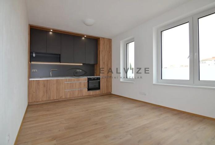 Pronájem bytu 2+kk, České Budějovice, Riegrova, 40 m2