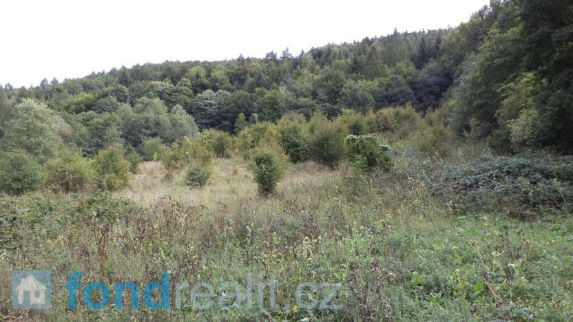 Prodej pozemku, Traplice, 19641 m2