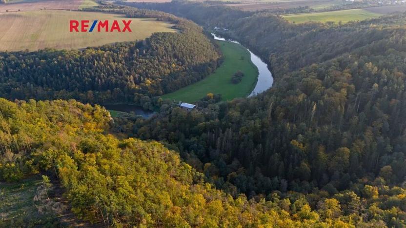 Prodej lesa, Všehrdy, 35057 m2