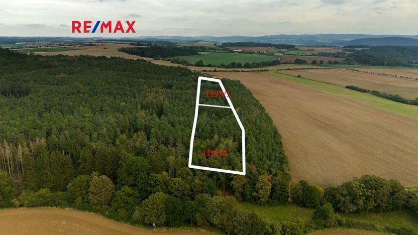 Prodej lesa, Všehrdy, 35057 m2