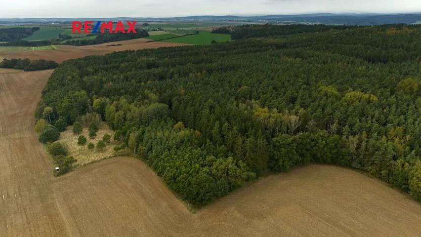 Prodej lesa, Všehrdy, 35057 m2