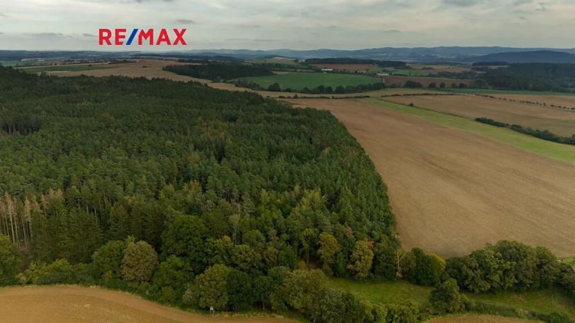 Prodej lesa, Všehrdy, 35057 m2