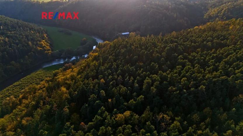 Prodej lesa, Všehrdy, 35057 m2